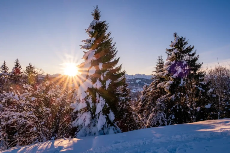 PACE5895_def_web_12_11zon