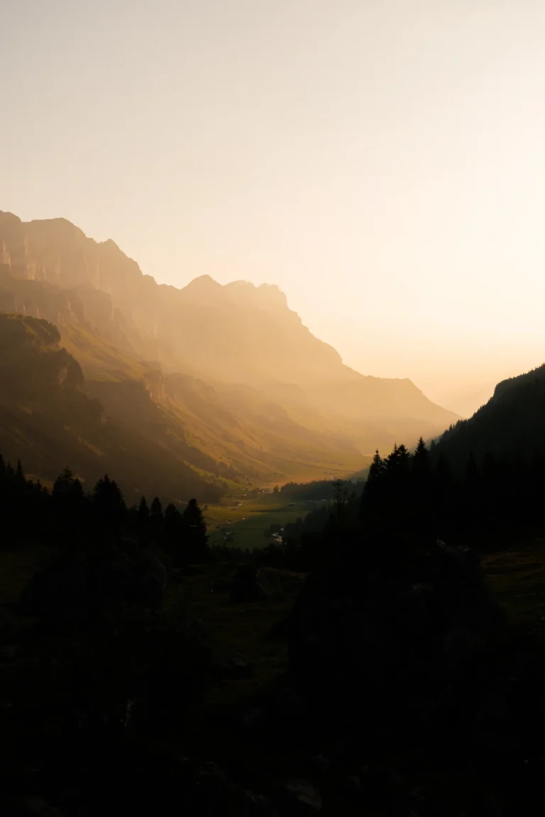 CEP11901_def_web_10_11zon